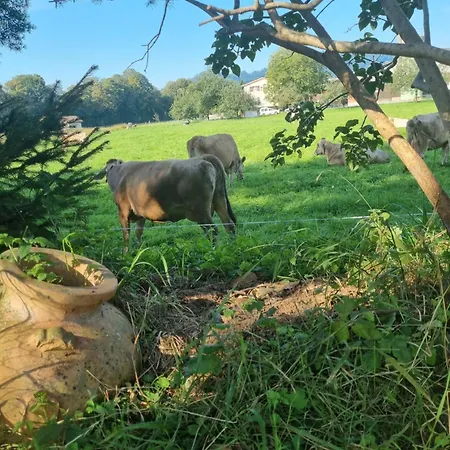 Studio Verde * Au (St.Gallen)