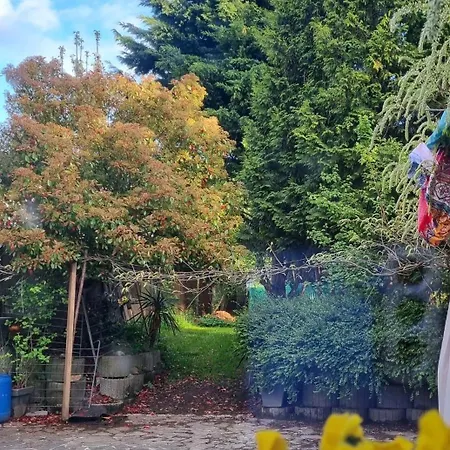 Séjour chez l'habitant Studio Verde