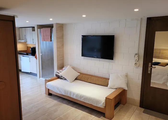 民宿 Studio Verde Au (St.Gallen)