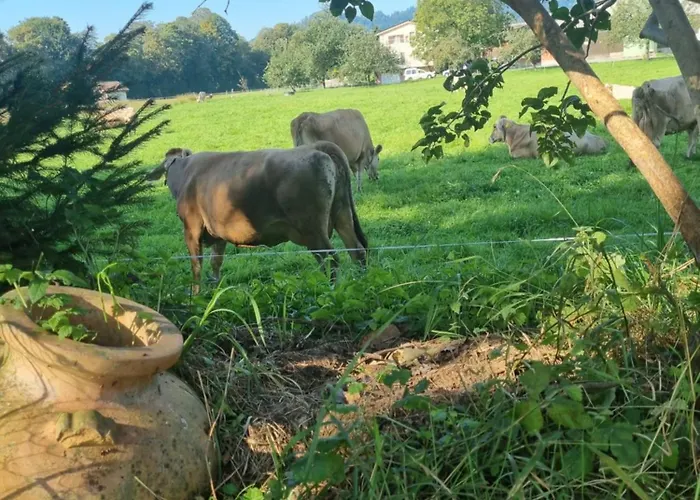 Studio Verde * Au (St.Gallen)